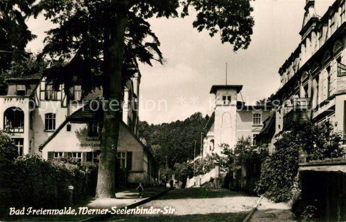 Bad Freienwalde Werner Seelenbinder Strasse