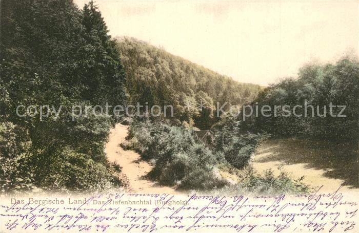 Burgholz Staatsforst Bergisches Land Landschaftspanorama Tiefenbachtal