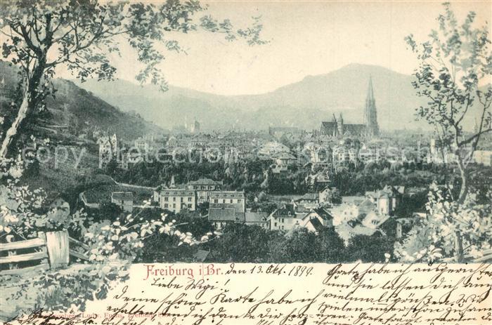 Freiburg Breisgau Stadtpanorama mit Muenster
