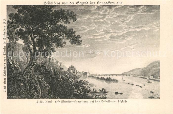 Heidelberg Neckar Blick vom Hausacker