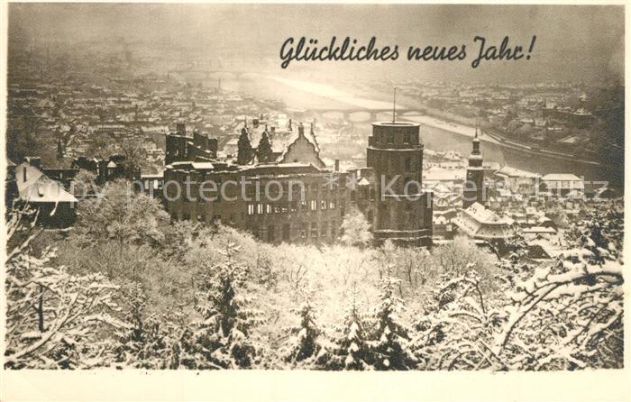 Heidelberg Neckar Panorama Schlossruine