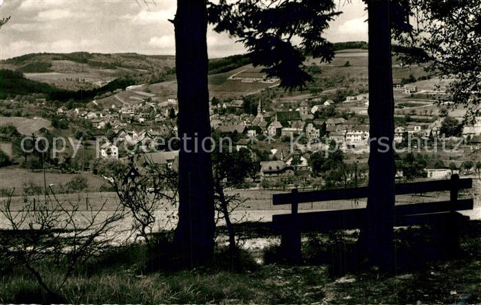 Waldmichelbach Panorama