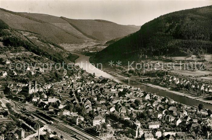 Eberbach Neckar Panorama