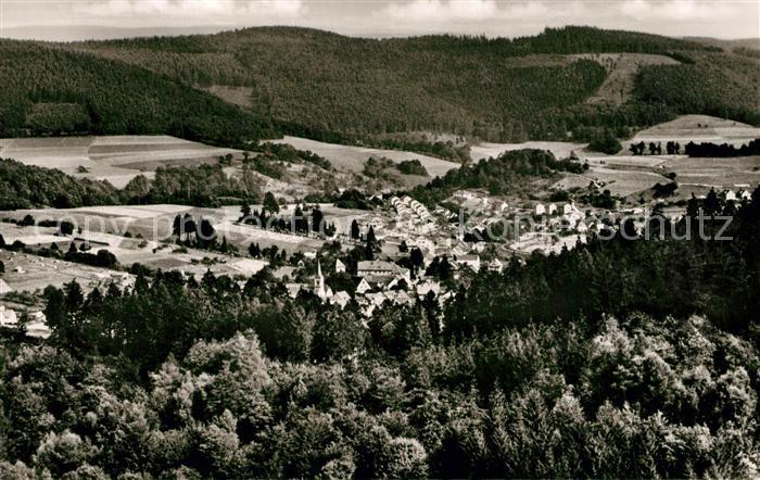 Waldmichelbach Panorama