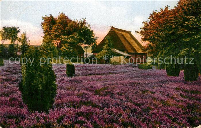 Handorf Lueneburg Einsames Gehoeft Lueneburger Heide