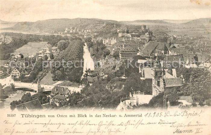 TueBINGEN BW mit Necker und Ammertal