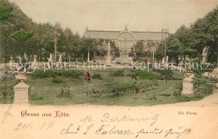 Koeln Rhein Die Flora