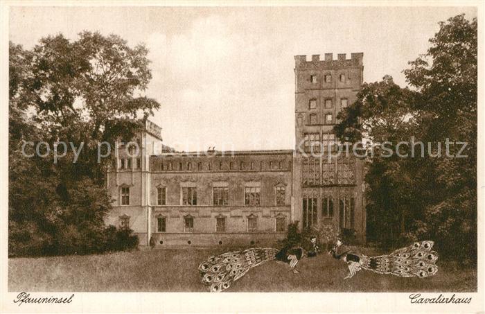 Wannsee Pfaueninsel Cavalierhaus Pfau Kupfertiefdruck