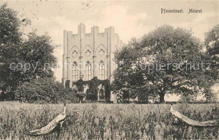 POTSDAM CITY Meierei auf der Pfaueninsel Pfau