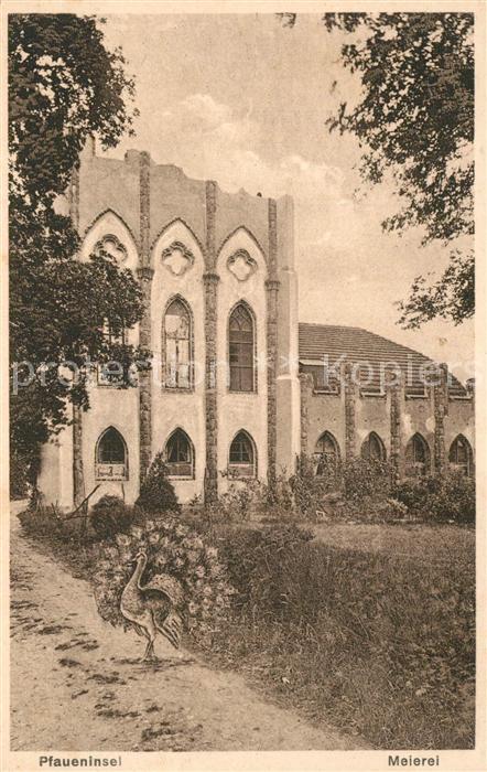 Wannsee Meierei auf der Pfaueninsel Pfau