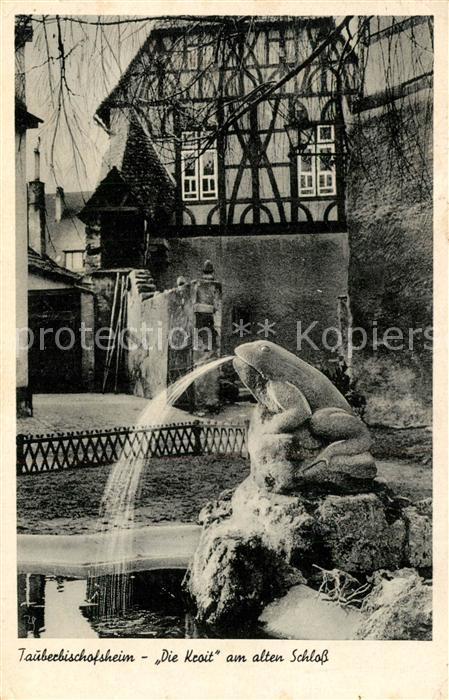 Tauberbischofsheim Die Kroit am alten Schloss Brunnen