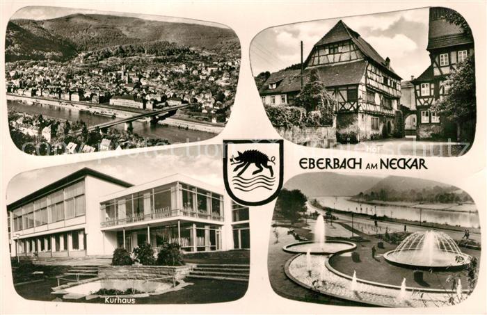 Eberbach Baden Stadtpanorama mit Neckar Hof Fachwerkhaeuser Wasserspiele Kurhaus