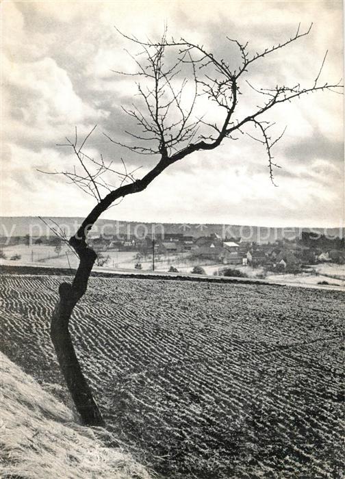 Wallduern Vorfruehling im Odenwald