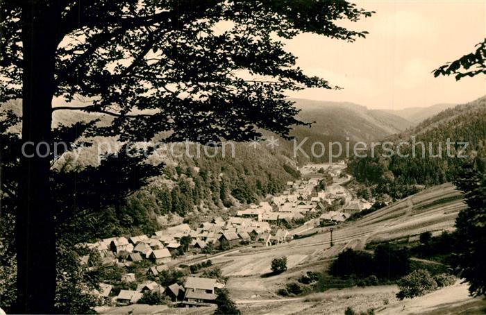 Schleusingerneundorf Panorama Blick ins Tal
