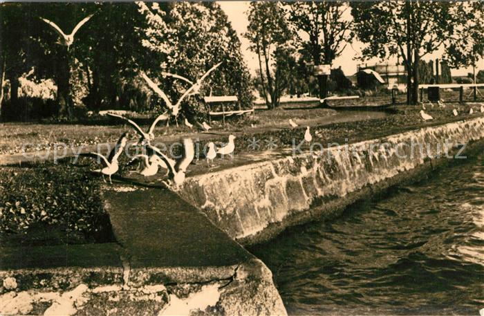 Waren Mueritz Uferpromenade an der Mueritz Mecklenburgische Seenplatte