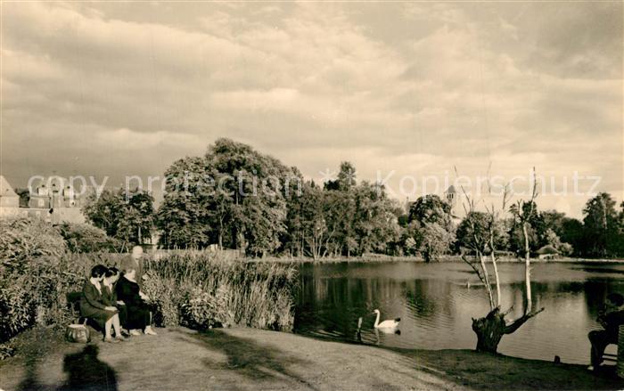 Waren Mueritz Uferpartie am Herrensee Schwaene Handabzug