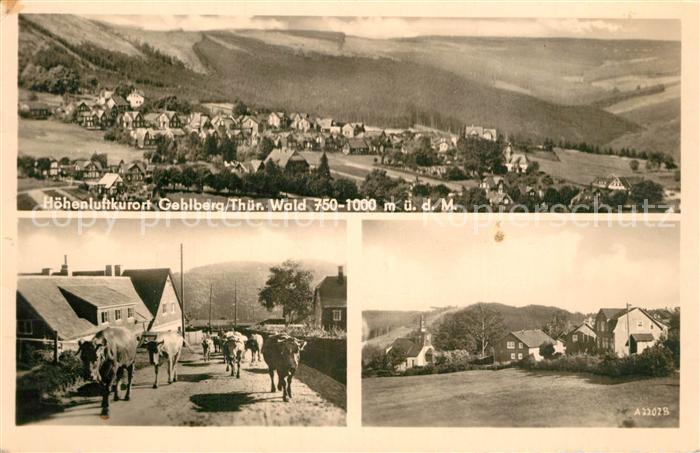 Gehlberg Fliegeraufnahme Kuhherde