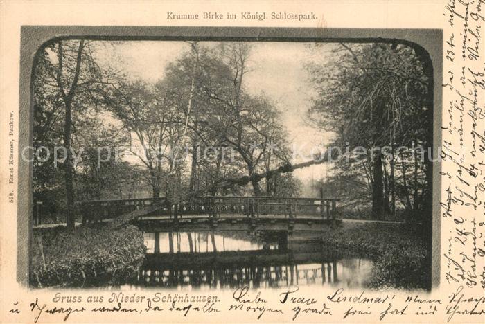 Nieder-Sch?nhausen Schlosspark mit Krumme Birke