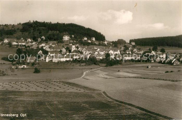 Taennesberg Panorama