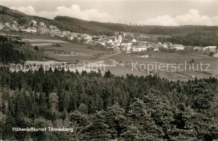 Taennesberg Panorama