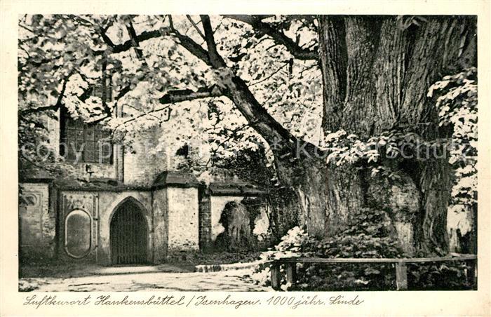 Hankensbuettel Kloster Isenhagen 1000jaehrige Linde