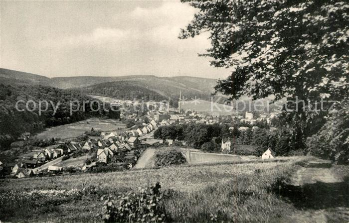Gruenenplan Blick vom Bocksberg Panorama
