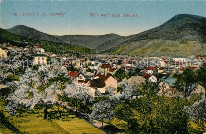 Neustadt Haardt mit Sch?ntal