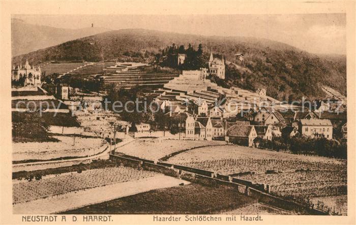 Neustadt Haardt mit Haardter Schl??chen
