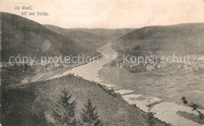 Alf Mosel Moselpartie mit Bullay