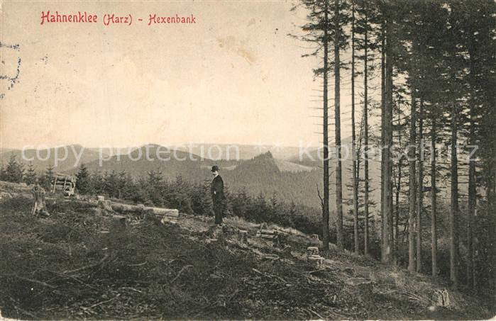 Hahnenklee-Bockswiese Harz Hexenbank