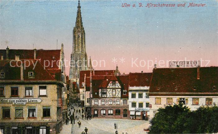 Ulm Donau Hirschstrasse mit M?nster