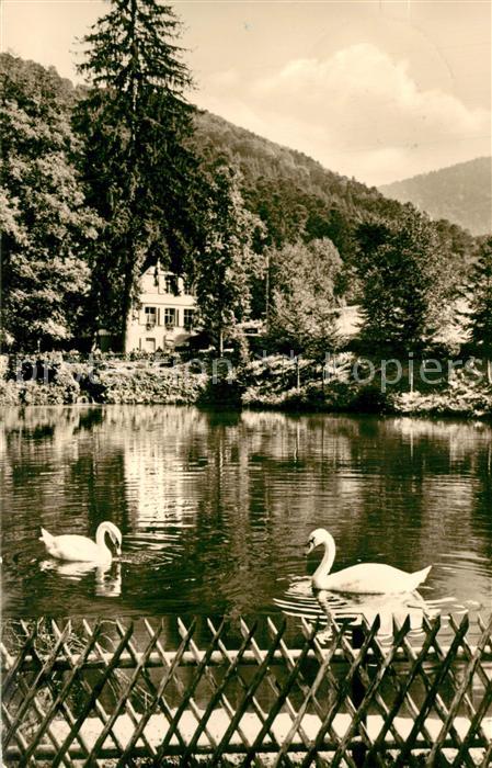 BADENWEILER BW Caf? Restaurant Bergmannsruhe Schw?ne