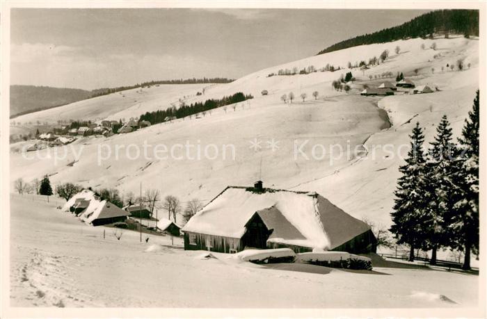 Todtnauberg Schwarzwald BW R?tte