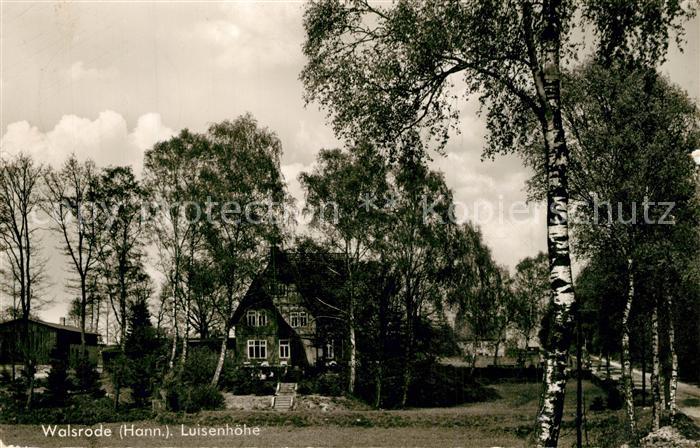 Walsrode L?neburger Heide Luisenh?he