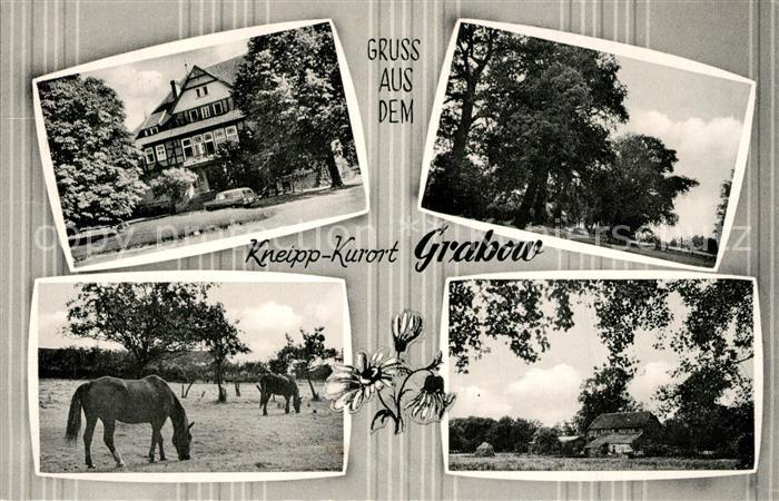 Grabow L?chow-Dannenberg Pferde