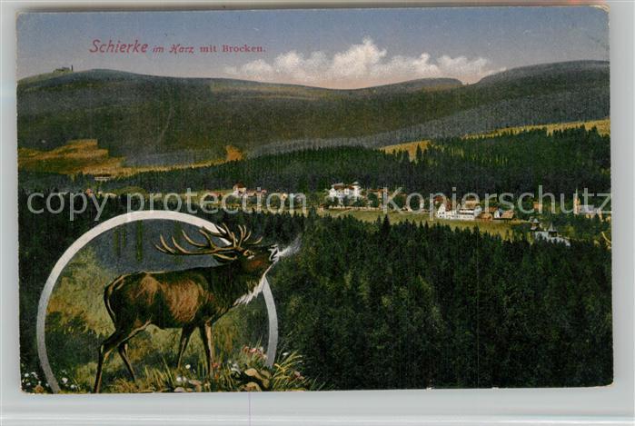 Schierke Harz Brocken Wild