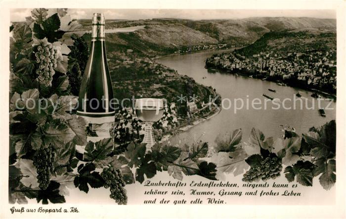 Boppard Rhein Rheinpartie Fliegeraufnahme