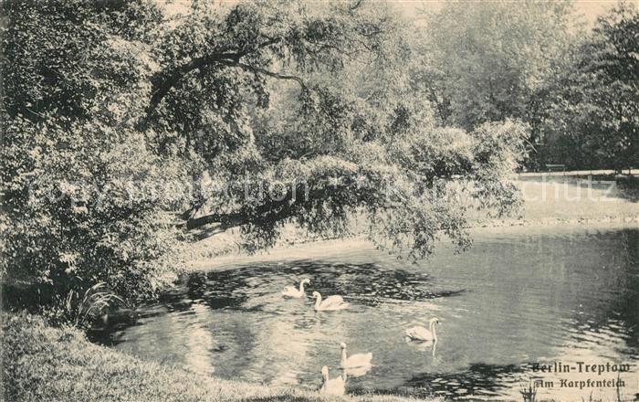 Treptow Berlin Am Karpfenteich Schw?ne