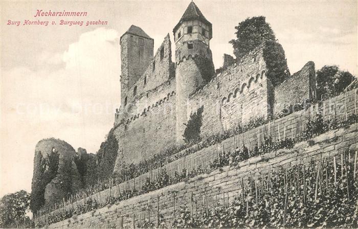 Neckarzimmern Burg-Hornberg vom Burgweg aus gesehen