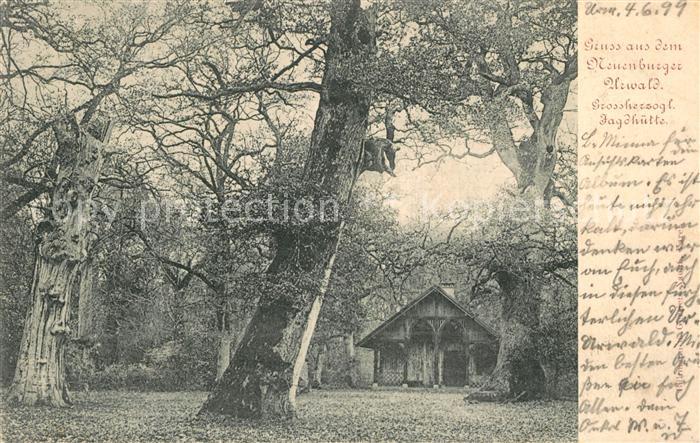 Neuenburg Friesland Neuenburger Urwald Jagdh?tte