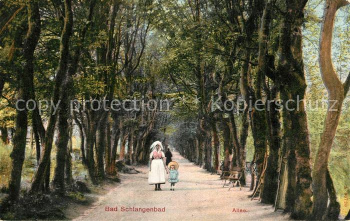 Bad Schlangenbad Taunus Allee