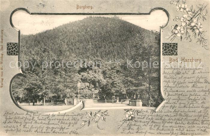 Bad Harzburg B?rgberg