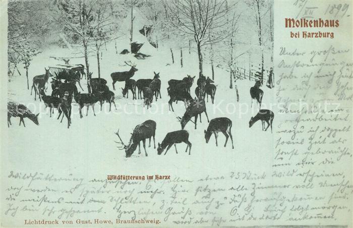 Bad Harzburg Molkenhaus Wildf?tterung