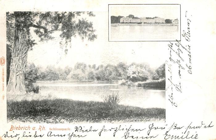 Biebrich Katzenelnbogen Schlosspark