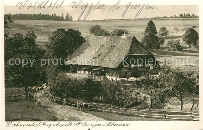 St Georgen Breisgau Hirzbauernhof Brigachquelle