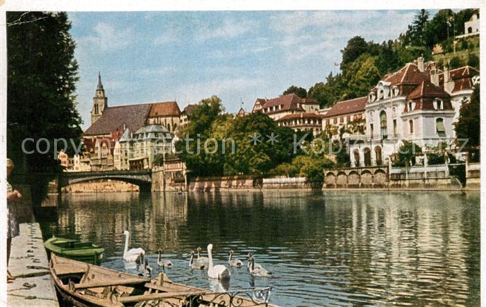 T?bingen Neckarpartie Schw?ne