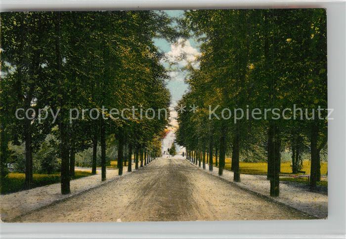 Bad Segeberg Auffahrt zum Kurhaus