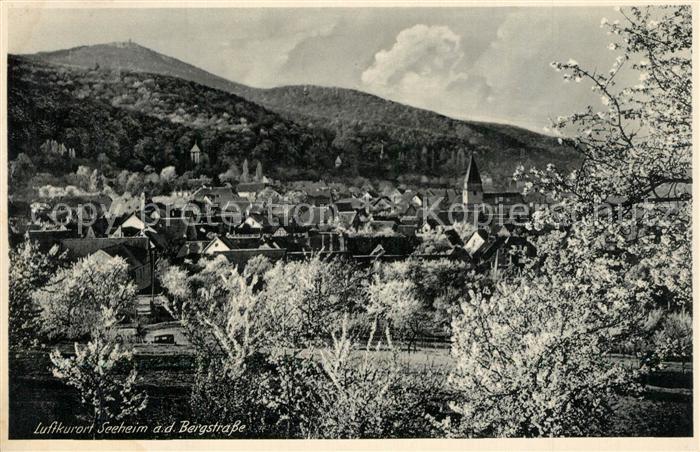 Seeheim-Jugenheim Panorama