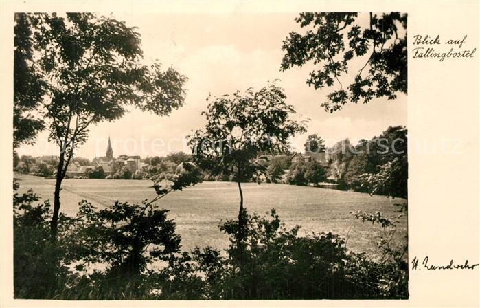 Fallingbostel Panorama Kirche