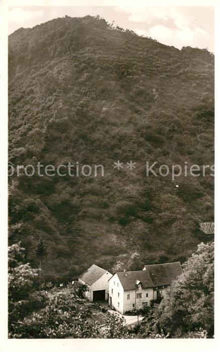 Cochem Mosel Privatpension Berns Weissmuehle